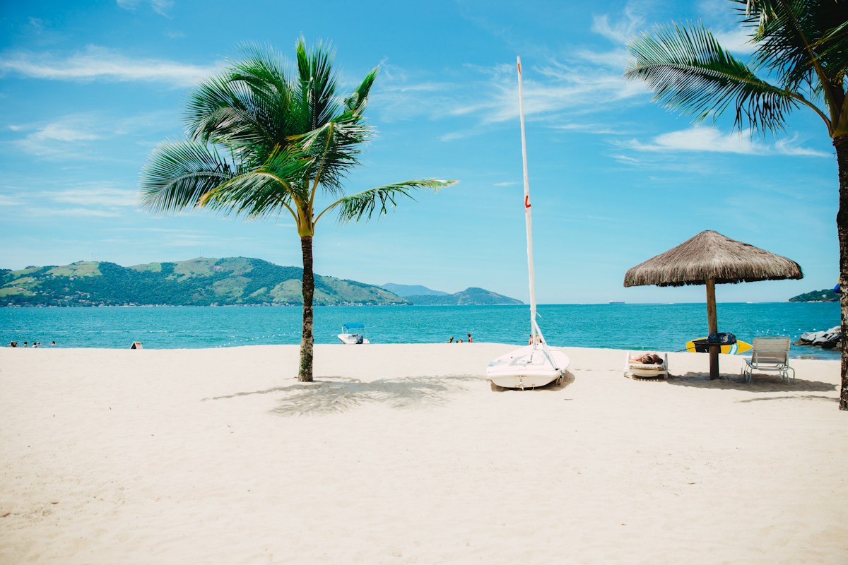 Sunlit tropical coastline with palm trees and turquoise water